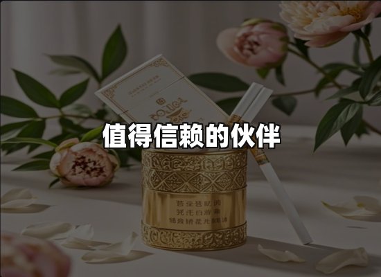 专业优势